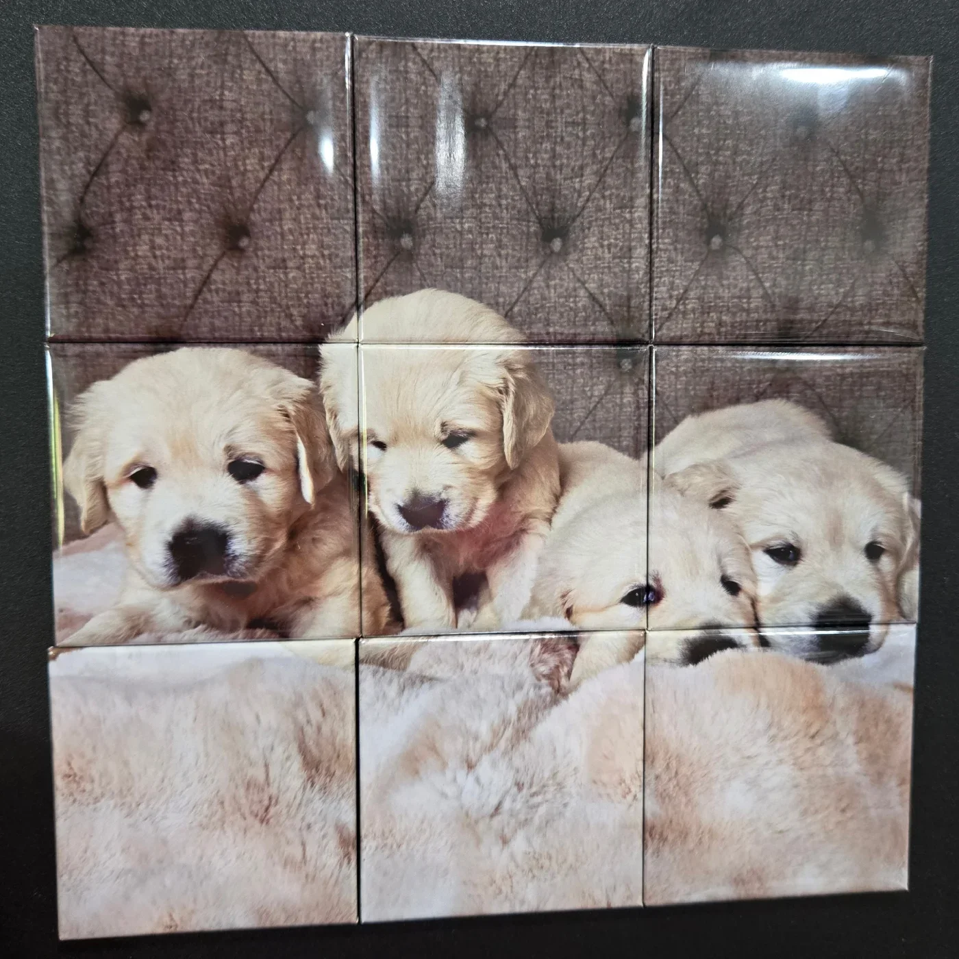 9-Magnet Puzzle